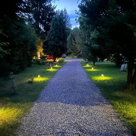 Apartamenty Stokrotka Lądek-Zdrój エクステリア 写真