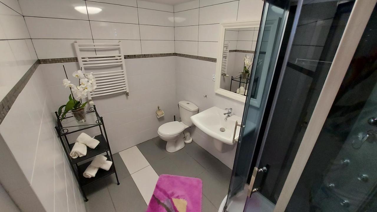 Apartamenty Stokrotka Lądek-Zdrój エクステリア 写真