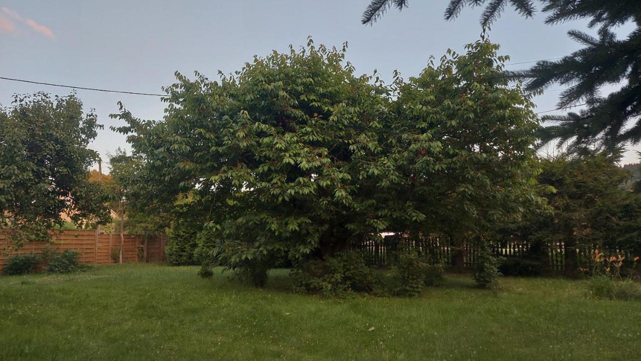 Apartamenty Stokrotka Lądek-Zdrój エクステリア 写真