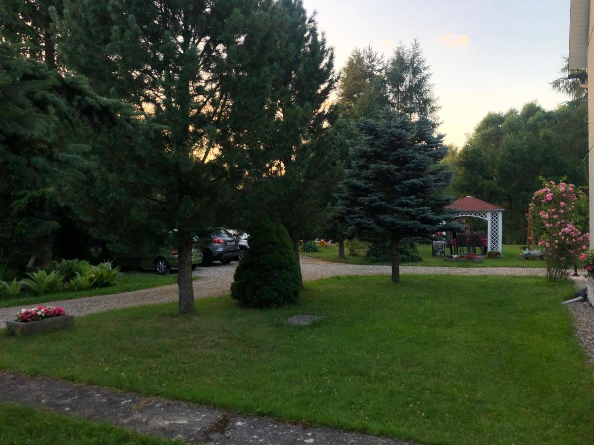 Apartamenty Stokrotka Lądek-Zdrój エクステリア 写真