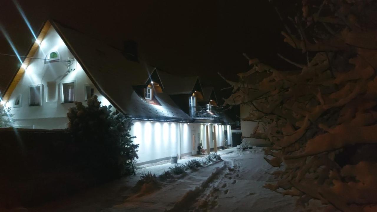 Apartamenty Stokrotka Lądek-Zdrój エクステリア 写真