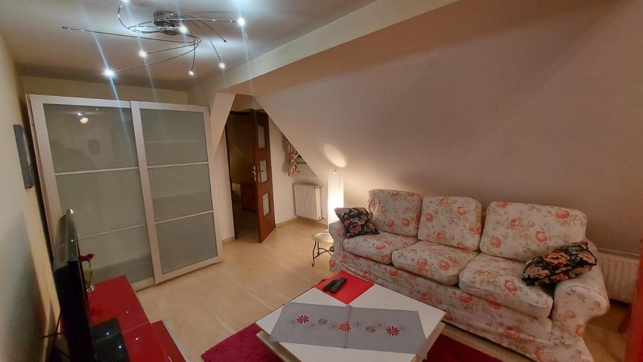 Apartamenty Stokrotka Lądek-Zdrój エクステリア 写真