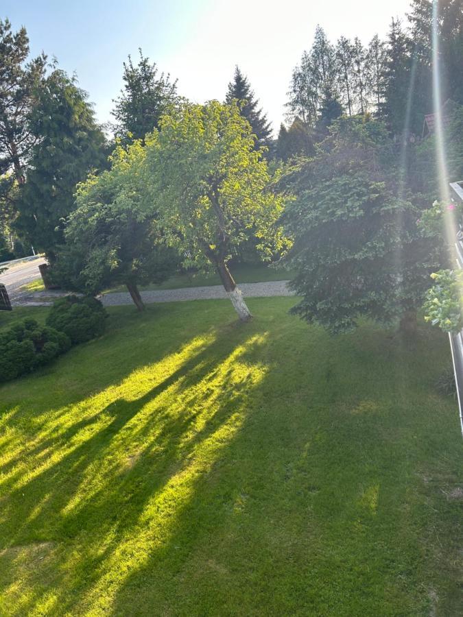 Apartamenty Stokrotka Lądek-Zdrój エクステリア 写真