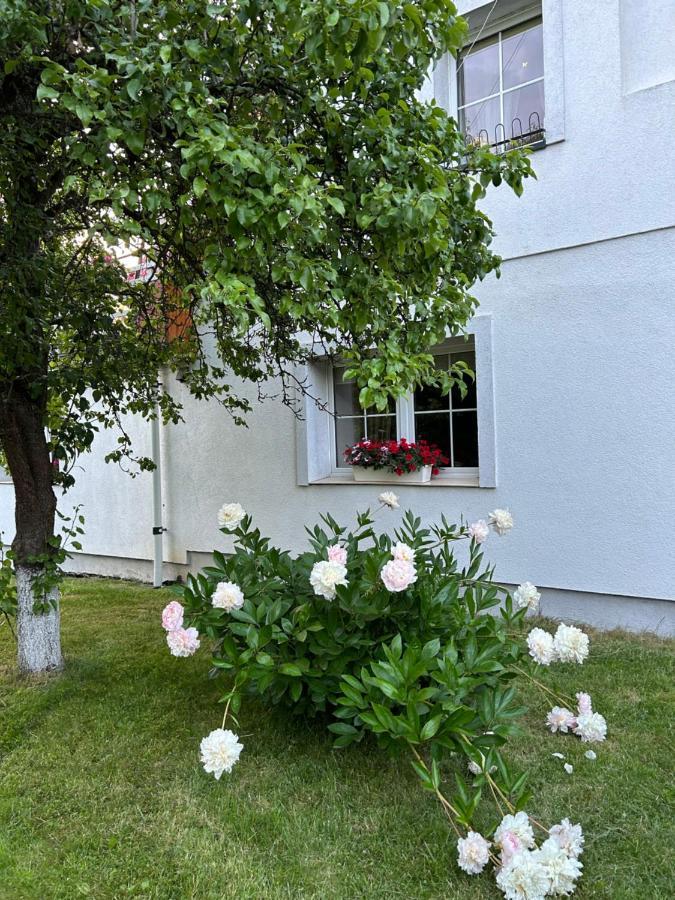 Apartamenty Stokrotka Lądek-Zdrój エクステリア 写真