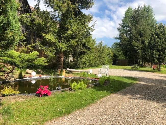 Apartamenty Stokrotka Lądek-Zdrój エクステリア 写真